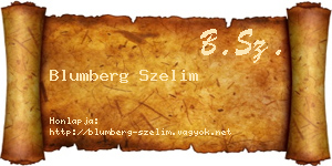 Blumberg Szelim névjegykártya
